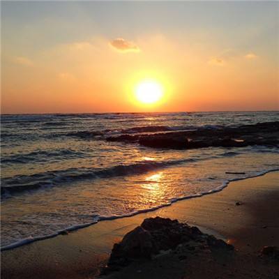 中欧体育·中国官方手机版